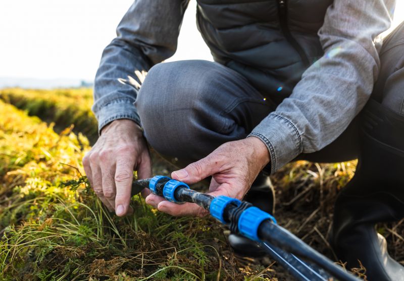 Lawn Irrigation Repair