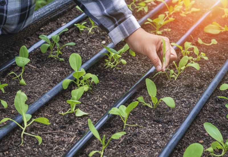 Watering System Installation in Ventura County, CA